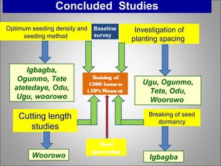 Igbagba,
Ogunmo, Tete
atetedaye, Odu,
Ugu, woorowo
Concluded Studies
Cutting length
studies
Investigation of
planting spacing
Optimum seeding density and
seeding method
Ugu, Ogunmo,
Tete, Odu,
Woorowo
Woorowo
Breaking of seed
dormancy
Igbagba
Training of
1200 farmers
(50%Women)
Food
processing
Baseline
survey
 