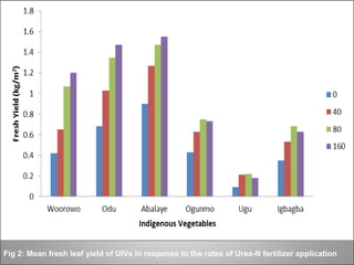 Fig 2: Mean fresh leaf yield of UIVs in response to the rates of Urea-N fertilizer application
 