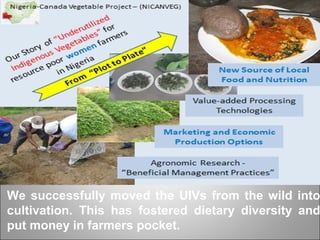 We successfully moved the UIVs from the wild into
cultivation. This has fostered dietary diversity and
put money in farmers pocket.
 