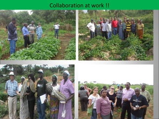 Collaboration at work !!
 