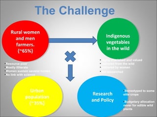 Urban
population
{~35%}
Urban
population
{~35%}
Rural women
and men
farmers.
{~65%}
Rural women
and men
farmers.
{~65%}
Indigenous
vegetables
in the wild
Indigenous
vegetables
in the wild
The Challenge
•Highly cherished and valued
•Gathered from the wild
•Gathered by women
•Not researched
Research
and Policy
Research
and Policy
•Stereotyped to some
elite crops
•Budgetary allocation
never for edible wild
plants
•Resource poor
•Mostly illiterate
•Women sustain several homes
•No link with science
 