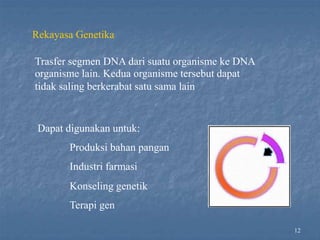 12
Rekayasa Genetika
Trasfer segmen DNA dari suatu organisme ke DNA
organisme lain. Kedua organisme tersebut dapat
tidak saling berkerabat satu sama lain
Dapat digunakan untuk:
Produksi bahan pangan
Industri farmasi
Konseling genetik
Terapi gen
 