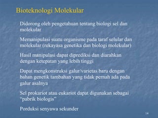 14
Bioteknologi Molekular
Didorong oleh pengetahuan tentang biologi sel dan
molekular
Memanipulasi suatu organisme pada taraf selular dan
molekular (rekayasa genetika dan biologi molekular)
Hasil manipulasi dapat diprediksi dan diarahkan
dengan ketepatan yang lebih tinggi
Dapat mengkonstruksi galur/varietas baru dengan
bahan genetik tambahan yang tidak pernah ada pada
galur asalnya
Sel prokariot atau eukariot dapat digunakan sebagai
“pabrik biologis”
Porduksi senyawa sekunder
 