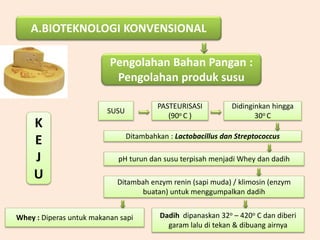 A.BIOTEKNOLOGI KONVENSIONAL
Pengolahan Bahan Pangan :
Pengolahan produk susu
K
E
J
U
SUSU
PASTEURISASI
(90o C )
Didinginkan hingga
30o C
Ditambahkan : Lactobacillus dan Streptococcus
pH turun dan susu terpisah menjadi Whey dan dadih
Dadih dipanaskan 32o – 420o C dan diberi
garam lalu di tekan & dibuang airnya
Whey : Diperas untuk makanan sapi
Ditambah enzym renin (sapi muda) / klimosin (enzym
buatan) untuk menggumpalkan dadih
 