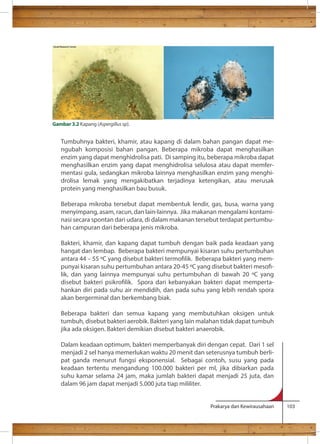 Tumbuhnya bakteri, khamir, atau kapang di dalam bahan pangan dapat me-ngubah 
komposisi bahan pangan. Beberapa mikroba dapat menghasilkan 
enzim yang dapat menghidrolisa pati. Di samping itu, beberapa mikroba dapat 
menghasilkan enzim yang dapat menghidrolisa selulosa atau dapat memfer-mentasi 
gula, sedangkan mikroba lainnya menghasilkan enzim yang menghi-drolisa 
lemak yang mengakibatkan terjadinya ketengikan, atau merusak 
protein yang menghasilkan bau busuk. 
Beberapa mikroba tersebut dapat membentuk lendir, gas, busa, warna yang 
menyimpang, asam, racun, dan lain-lainnya. Jika makanan mengalami kontami-nasi 
secara spontan dari udara, di dalam makanan tersebut terdapat pertumbu-han 
campuran dari beberapa jenis mikroba. 
Bakteri, khamir, dan kapang dapat tumbuh dengan baik pada keadaan yang 
hangat dan lembap. Beberapa bakteri mempunyai kisaran suhu pertumbuhan 
antara 44 – 55 C yang disebut bakteri termolik. Beberapa bakteri yang mem-punyai 
kisaran suhu pertumbuhan antara 20-45 C yang disebut bakteri meso- 
lik, dan yang lainnya mempunyai suhu pertumbuhan di bawah 20 C yang 
disebut bakteri psikrolik. Spora dari kebanyakan bakteri dapat memperta-hankan 
diri pada suhu air mendidih, dan pada suhu yang lebih rendah spora 
akan bergerminal dan berkembang biak. 
Beberapa bakteri dan semua kapang yang membutuhkan oksigen untuk 
tumbuh, disebut bakteri aerobik. Bakteri yang lain malahan tidak dapat tumbuh 
jika ada oksigen. Bakteri demikian disebut bakteri anaerobik. 
Dalam keadaan optimum, bakteri memperbanyak diri dengan cepat. Dari 1 sel 
menjadi 2 sel hanya memerlukan waktu 20 menit dan seterusnya tumbuh berli-pat 
ganda menurut fungsi eksponensial. Sebagai contoh, susu yang pada 
keadaan tertentu mengandung 100.000 bakteri per ml, jika dibiarkan pada 
suhu kamar selama 24 jam, maka jumlah bakteri dapat menjadi 25 juta, dan 
dalam 96 jam dapat menjadi 5.000 juta tiap mililiter. 
Prakarya dan Kewirausahaan 103 
Gambar 3.2 Kapang (Aspergillus sp). 
 