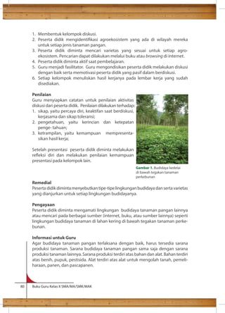 1. Membentuk kelompok diskusi. 
2. Peserta didik mengidentikasi agroekosistem yang ada di wilayah mereka 
untuk setiap jenis tanaman pangan. 
3. Peserta didik diminta mencari varietas yang sesuai untuk setiap agro-ekosistem. 
Pencarian dapat dilakukan melalui buku atau browsing di internet. 
4. Peserta didik diminta aktif saat pembelajaran. 
5. Guru menjadi fasilitator. Guru mengondisikan peserta didik melakukan diskusi 
dengan baik serta memotivasi peserta didik yang pasif dalam berdiskusi. 
6. Setiap kelompok menuliskan hasil kerjanya pada lembar kerja yang sudah 
disediakan. 
Penilaian 
Guru menyiapkan catatan untuk penilaian aktivitas 
diskusi dari peserta didik. Penilaian dilakukan terhadap: 
1. sikap, yaitu percaya diri, keaktifan saat berdiskusi, 
kerjasama dan sikap toleransi; 
2. pengetahuan, yaitu kerincian dan ketepatan 
penge- tahuan; 
3. ketrampilan, yaitu kemampuan mempresenta-sikan 
hasil kerja; 
Setelah presentasi peserta didik diminta melakukan 
reeksi diri dan melakukan penilaian kemampuan 
presentasi pada kelompok lain. 
Remedial 
Peserta didik diminta menyebutkan tipe-tipe lingkungan budidaya dan serta varietas 
yang dianjurkan untuk setiap lingkungan budidayanya. 
Pengayaan 
Peserta didik diminta mengamati lingkungan budidaya tanaman pangan lainnya 
atau mencari pada berbagai sumber (internet, buku, atau sumber lainnya) seperti 
lingkungan budidaya tanaman di lahan kering di bawah tegakan tanaman perke-bunan. 
Informasi untuk Guru 
Agar budidaya tanaman pangan terlaksana dengan baik, harus tersedia sarana 
produksi tanaman. Sarana budidaya tanaman pangan sama saja dengan sarana 
produksi tanaman lainnya. Sarana produksi terdiri atas bahan dan alat. Bahan terdiri 
atas benih, pupuk, pestisida. Alat terdiri atas alat untuk mengolah tanah, pemeli-haraan, 
panen, dan pascapanen. 
80 Buku Guru Kelas X SMA/MA/SMK/MAK 
Gambar 1. Budidaya kedelai 
di bawah tegakan tanaman 
perkebunan 
 