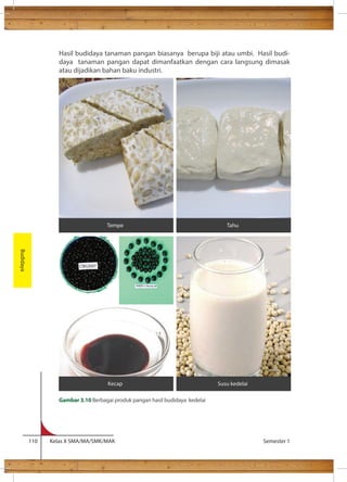 Hasil budidaya tanaman pangan biasanya berupa biji atau umbi. Hasil budi-daya 
tanaman pangan dapat dimanfaatkan dengan cara langsung dimasak 
atau dijadikan bahan baku industri. 
110 Kelas X SMA/MA/SMK/MAK Semester 1 
Budidaya 
Tempe Tahu 
Kecap Susu kedelai 
Gambar 3.10 Berbagai produk pangan hasil budidaya kedelai 
 