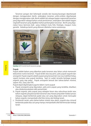 Tanaman pangan dari kelompok serealia dan kacang-kacangan diperbanyak 
dengan menggunakan benih, sedangkan tanaman umbi-umbian diperbanyak 
dengan menggunakan stek. Benih adalah biji sebagai bagian regeneratif tanaman 
yang digunakan sebagai bahan untuk pertanaman, sedangkan stek adalah bagian 
vegetatif tanaman yang dijadikan bahan perbanyakan tanaman. Benih yang digu-nakan 
harus bermutu baik yang meliputi mutu sik, siologis, maupun mutu 
genetik. Sebaiknya benih yang ditanam diketahui nama varietasnya. 
Pupuk 
Pupuk adalah bahan yang diberikan pada tanaman atau lahan untuk memenuhi 
kebutuhan nutrisi tanaman. Pupuk terdiri atas dua jenis, yaitu pupuk organik dan 
anorganik. Pupuk organik adalah pupuk yang berasal dari sisa-sisa makhluk hidup, 
seperti kompos atau pupuk kandang. Saat ini sudah tersedia berbagai pupuk 
organik yang siap pakai. Pupuk anorganik berasal dari bahan-bahan mineral, 
seperti KCL, Urea, dan TSP. 
Pupuk dapat digolongkan juga ke dalam 3 jenis pupuk 
a. Pupuk anorganik yang digunakan, yaitu jenis pupuk yang terdaftar, disahkan 
atau direkomendasikan oleh pemerintah. 
b. Pupuk organik, yaitu pupuk yang sebagian besar atau seluruhnya terdiri atas 
bahan organik yang berasal dari tanaman atau hewan yang telah melalui proses 
rekayasa, dapat berbentuk padat atau cair yang digunakan untuk mensuplai 
bahan organik, memperbaiki sifat sik, kimia, dan biologi tanah. 
c. Pembenah tanah, yaitu bahan-bahan sintetis atau alami, organik atau mineral 
berbentuk padat atau cair yang mampu memperbaiki sifat sik kimia dan biologi 
tanah. 
118 Kelas X SMA/MA/SMK/MAK Semester 1 
Budidaya 
Benih padi Benih kedelai 
Gambar 3.11 Contoh benih tanaman pangan 
 