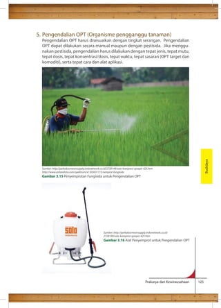 5. Pengendalian OPT (Organisme pengganggu tanaman) 
Pengendalian OPT harus disesuaikan dengan tingkat serangan. Pengendalian 
OPT dapat dilakukan secara manual maupun dengan pestisida. Jika menggu-nakan 
pestisida, pengendalian harus dilakukan dengan tepat jenis, tepat mutu, 
tepat dosis, tepat konsentrasi/dosis, tepat waktu, tepat sasaran (OPT target dan 
komoditi), serta tepat cara dan alat aplikasi. 
Prakarya dan Kewirausahaan 125 
Budidaya 
Sumber: http://perkakasmesinsupply.indonetwork.co.id/2728149/solo-kompresi-sprayer-425.htm 
http://www.antarafoto.com/spektrum/v1303631715/semprot-fungisida 
Gambar 3.15 Penyemprotan Fungisida untuk Pengendalian OPT 
Sumber: http://perkakasmesinsupply.indonetwork.co.id/ 
2728149/solo-kompresi-sprayer-425.htm 
Gambar 3.16 Alat Penyemprot untuk Pengendalian OPT 
 