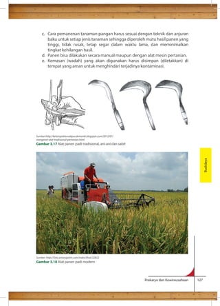 c. Cara pemanenan tanaman pangan harus sesuai dengan teknik dan anjuran 
baku untuk setiap jenis tanaman sehingga diperoleh mutu hasil panen yang 
tinggi, tidak rusak, tetap segar dalam waktu lama, dan meminimalkan 
tingkat kehilangan hasil. 
d. Panen bisa dilakukan secara manual maupun dengan alat mesin pertanian. 
e. Kemasan (wadah) yang akan digunakan harus disimpan (diletakkan) di 
tempat yang aman untuk menghindari terjadinya kontaminasi. 
Prakarya dan Kewirausahaan 127 
Budidaya 
Sumber:http://kelompokternakpucakmanik.blogspot.com/2012/01/ 
mengenal-alat-tradisional-pertanian.html 
Gambar 3.17 Alat panen padi tradisional, ani-ani dan sabit 
Sumber: http://foto.antarajatim.com/index/lihat/22822 
Gambar 3.18 Alat panen padi modern 
 