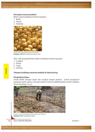 Persiapan sarana produksi 
Bahan untuk budidaya tanaman pangan: 
1. Benih 
2. Pupuk 
3. Pestisida 
Alat –alat yang diperlukan dalam budidaya tanaman pangan 
1. Cangkul 
2. Kored 
3. Tugal 
4. Gembor 
Tahapan budidaya tanaman kedelai di lahan kering 
Pengolahan lahan 
Tanah diolah dengan bajak dan cangkul sampai gembur. Untuk pengaturan 
pengairan perlu saluran air pada setiap 4 meter di sekeliling lahan tanam sedalam 
30 cm dan lebar 25 cm. 
138 Kelas X SMA/MA/SMK/MAK Semester 1 
Budidaya 
Sumber: http://cybex.deptan.go.id/varietas-kedelai 
Gambar 3.24 Benih kedelai varietas ratai 
Sumber: http://www.bbipadipalawijadistankaltim.web.id/gallery/ 
Gambar 3.25 Pengolahan lahan 
 