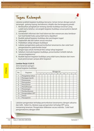 No. Kegiatan 
Minggu ke- 
1 2 3 4 5 6 7 8 9 10 11 12 13 
1 Pengolahan lahan 
2 Persiapan benih 
3 Penanaman 
5 Pemupukan 
6 Penyiraman 
7 Pemeliharaan 
8 Penyiangan 
9 Pembumbunan 
10 Pengendalian OPT 
11 Panen 
12 Pascapanen 
142 Kelas X SMA/MA/SMK/MAK Semester 1 
Budidaya 
Tugas Kelompok 
Lakukan praktek kegiatan budidaya bersama teman-teman dengan penuh 
semangat, gotong royong, bertoleransi, disiplin dan bertanggung jawab! 
1. Berdasarkan pengetahuan tentang standar budidaya tanaman yang 
sudah kamu ketahui, rancanglah kegiatan budidaya sesuai potensi daerah 
setempat! 
2. Gunakanlah informasi dari hasil observasi dan wawancara atau berdasar-kan 
hasil bedah buku yang telah kamu dapatkan! 
3. Buatlah jadwal kegiatan budidaya dan pembagian tugas! 
4. Siapkanlah alat dan bahan sesuai rencana! 
5. Praktekkan setiap tahapan budidaya! 
6. Lalukan pengamatan pada pertumbuhan tanamanmu dan catat hasil 
pengamatanmu pada lembar kerja! 
7. Jangan lupa untuk membuat foto setiap tahap kegiatan! 
8. Sebelum memulai kegiatan budidaya, presentasikan terlebih dahulu 
rencana kegiatanmu! 
9. Buatlah laporan kegiatan budidaya yang telah kamu lakukan dari mem-buat 
perencanaan sampai akhir kegiatan! 
Lembar Kerja 5 (LK-5) 
Jenis tanaman pangan: 
Jadwal kegiatan budidaya 
Lakukan pengamatan terhadap pertumbuhan tanamanmu dengan saksama 
dan teliti. Selain itu, lakukan juga pengamatan terhadap OPT yang 
menyerang tanaman. Pengamatan dilakukan secara individu. Catat hasil 
pengamatanmu dengan teliti! 
 