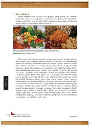 1. Bahan Nabati 
Bahan pangan nabati adalah bahan pangan yang berasal dari tumbuh-tumbuhan. 
Indonesia merupakan negara tropis yang dianugerahi bermacam-macam 
jenis bahan nabati, baik itu buah-buahan maupun sayuran. Beberapa 
contoh bahan pangan nabati pada Gambar 4.1. 
Buah-buahan dan sayuran sangat penting sebagai sumber serat, air, vitamin 
dan mineral. Sayuran dapat dikelompokkan menjadi dua, yaitu berdasarkan 
bagian dari tanaman dan berdasarkan iklim tempat tumbuh. Berdasar bagian 
dari tanaman misalnya akar, umbi, batang, daun, buah, bunga, biji dan 
sebagainya dapat dimanfaatkan sebagai sayuran untuk dikonsumsi. Pengelom-pokan 
berdasarkan iklim, yaitu sayuran yang tumbuh di daerah iklim panas 
atau tropis, contohnya: daun dan bunga pepaya, petai, jengkol, cabai, terong, 
kangkung, buncis, daun salam, sereh, ubi jalar, kunyit, jahe, daun singkong. 
Sayuran yang tumbuh di daerah iklim sedang dan sub-tropis contohnya: wortel, 
kol, brokoli, kentang, seledri, jamur, dan selada. Seperti halnya sayuran, 
buah-buahan juga dapat digolongkan dalam dua golongan berdasarkan iklim, 
yaitu buah-buahan iklim panas atau tropis dan buah-buahan iklim sedang atau 
sub-tropis. Buah-buahan yang tumbuh di daerah tropis contohnya nanas, 
pisang, pepaya, alpukat, mangga, rambutan, duren dan sebagainya. Buah-buahan 
yang tumbuh di daerah iklim sedang dan sub-tropis contohnya: 
anggur, apel, jeruk, berbagai jenis berry, dan sebagainya. Buah dan sayuran 
mengandung beberapa jenis senyawa fenolik yang akan menghasilkan reaksi 
pencokelatan yang dikatalis oleh enzim. 
154 Kelas X SMA/MA/SMK/MAK Semester 1 
Pengolahan 
Sumber: http://www.necturajuice.com/wp-content/uploads/2013/05/siber-protein-nabati.jpg 
http://infonutrisidankesehatan.blogspot.com/2013/09/serat-larut-dan-serat-tak-larut-dalam.html 
Gambar 4.1 Bahan pangan nabati 
 