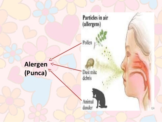 Alergi @ Alahan - Komunikasi Kesihatan