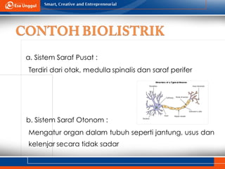 K14 biomagnet.pptbhbhjbhjbjhbjbjbbjjbjjbhjb | PPT | Free Download