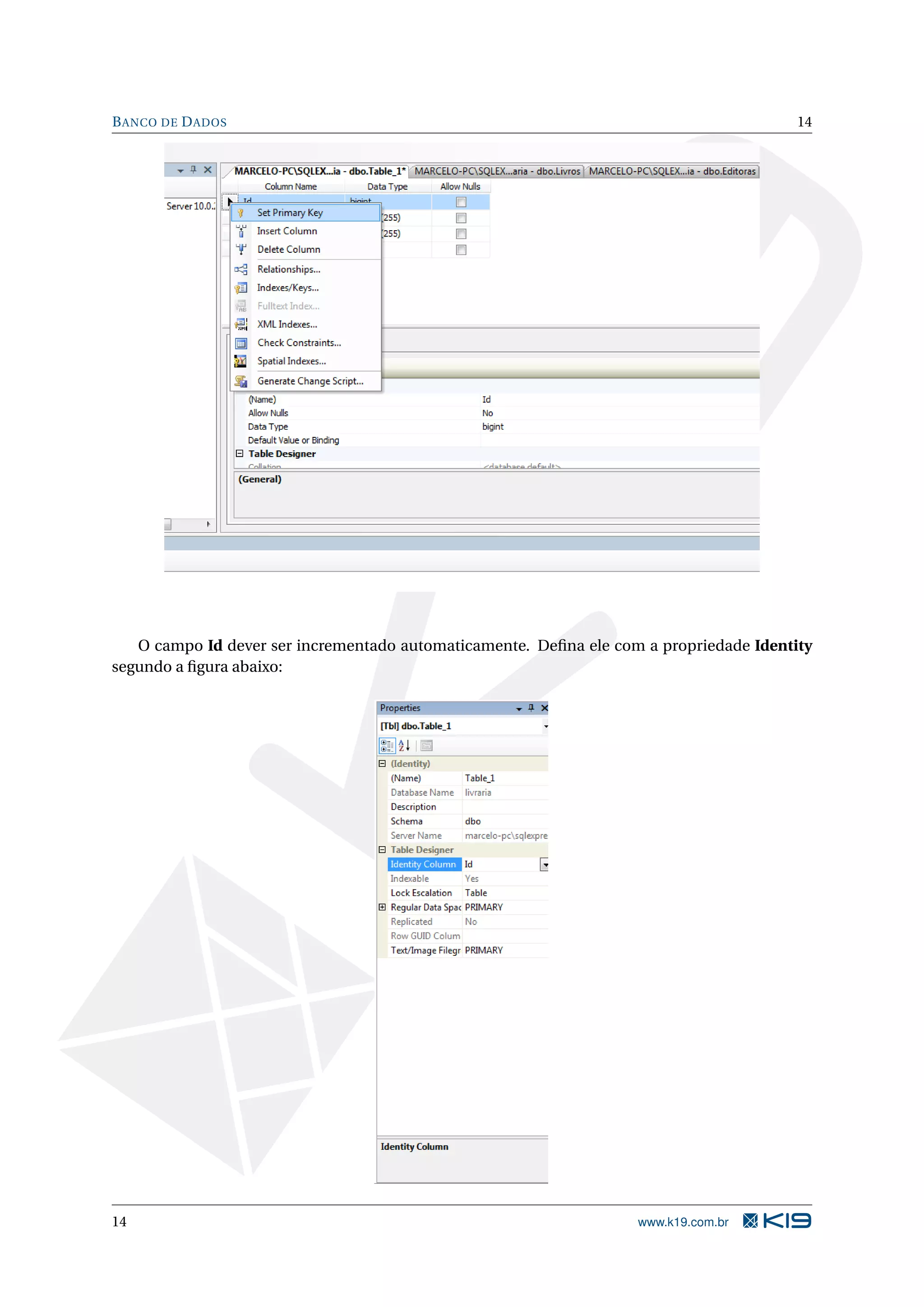 B ANCO DE D ADOS 14 O campo Id dever ser incrementado automaticamente. Deﬁna ele com a propriedade Identity segundo a ﬁgura abaixo: 14 www.k19.com.br 