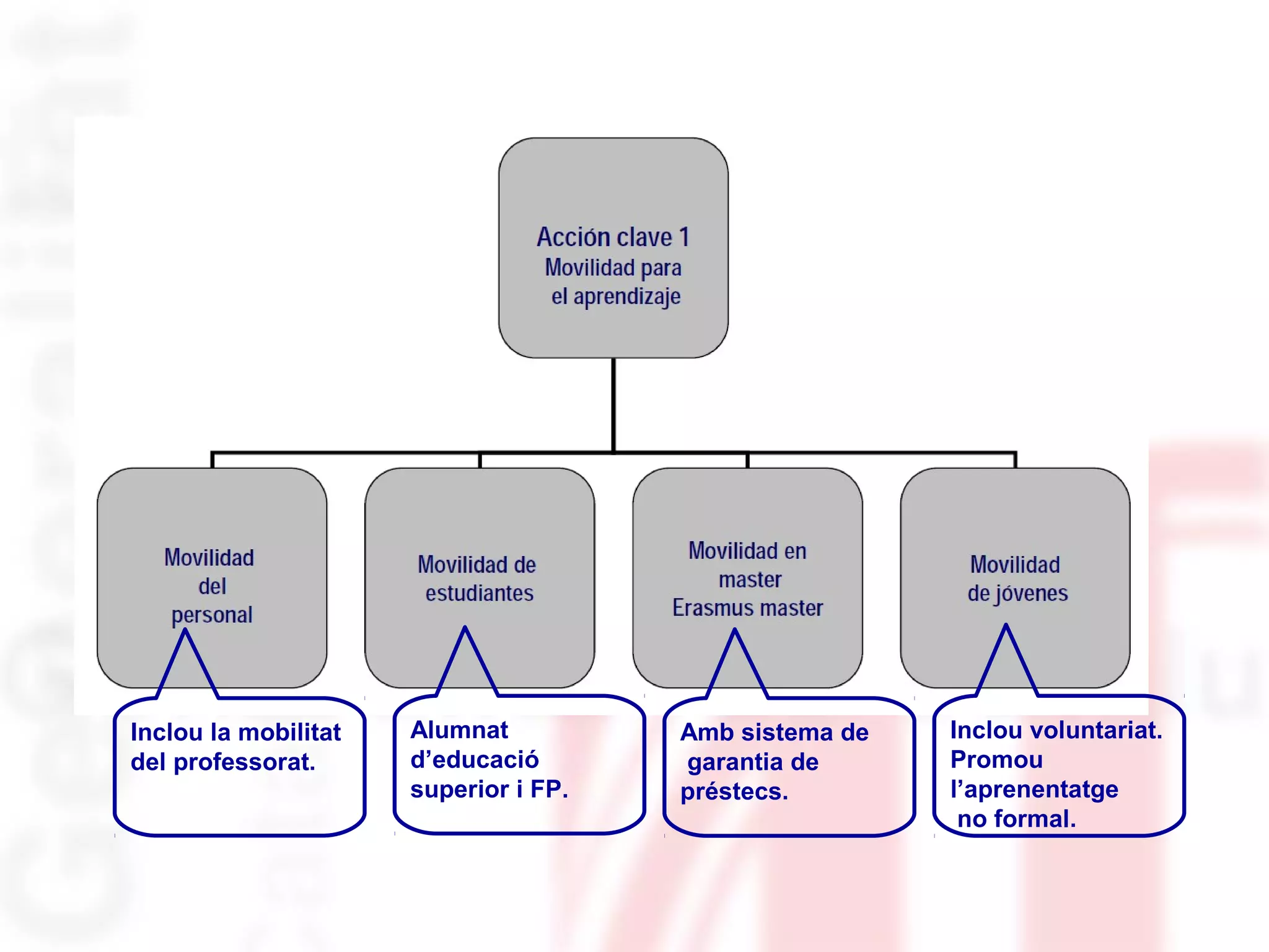 Inclou la mobilitat
del professorat.
Inclou voluntariat.
Promou
l’aprenentatge
no formal.
Alumnat
d’educació
superior i FP.
Amb sistema de
garantia de
préstecs.
 