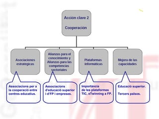 Associacions per a
la cooperació entre
centres educatius.
Educació superior.
Tercers països.
Associacions
d’educació superior
i d’FP i empreses.
Importància
de les plataformes
TIC, eTwinning a FP.
 