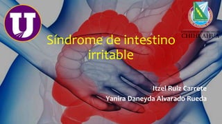 Síndrome de intestino
irritable
Itzel Ruiz Carrete
Yanira Daneyda Alvarado Rueda
 