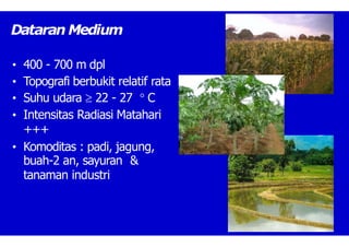 Dataran Medium
• 400 - 700 m dpl
• Topografi berbukit relatif rata
• Suhu udara  22 - 27  C
• Intensitas Radiasi Matahari
+++
• Komoditas : padi, jagung,
buah-2 an, sayuran &
tanaman industri
 