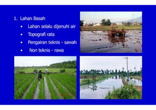 1. Lahan Basah
• Lahan selalu dijenuhi air
• Topografi rata
• Pengairan teknis - sawah
• Non teknis - rawa
 
