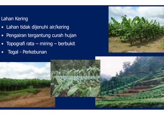 Lahan Kering
• Lahan tidak dijenuhi air/kering
• Pengairan tergantung curah hujan
• Topografi rata – miring – berbukit
• Tegal - Perkebunan
 
