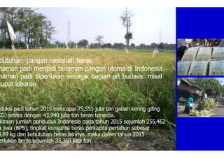 butuhan pangan nasional: beras
naman padi menjadi tanaman pangan utama di Indonesia
naman padi diperlukan sebagai bagian ari budaya: misal
tupat lebaran
duksi padi tahun 2015 mencapai 75,551 juta ton gabah kering giling
KG) setara dengan 43,940 juta ton beras tersedia.
kiraan jumlah penduduk Indonesia pada tahun 2015 sejumlah 255,462
a jiwa (BPS), tingkat konsumsi beras perkapita pertahun sebesar
4,89 kg dan kebutuhan beras lainnya, maka dalam tahun 2015
erlukan beras sejumlah 33,368 juta ton
 