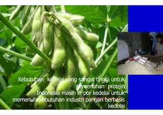 m
Kebutuhan kedelai yang sangat tinggi untuk
pemenuhan protein
Indonesia masih i por kedelai untuk
memenuhi kebutuhan industri pangan berbasis
kedelai
 