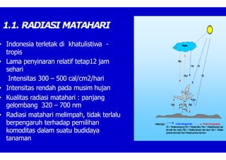 1.1. RADIASI MATAHARI
R
ta
R
d R
I
R
pd R
I
A
w
an
R
d
R
pt R
td
Keterangan: =Gelombangpendek; =Gelombangpanjang
Rl= Radiasilangsung;Rd= Radiasidifus;Rta= Radiasiterusandari
atmosfir dan awan; Rtd = Radiasi terusan dari daun; Rpt = Radiasi
pantuland
aritanah;R
pd=R
a
diasipantu
landa
ridaun
• Indonesia terletak di khatulistiwa -
tropis
• Lama penyinaran relatif tetap12 jam
sehari
Intensitas 300 – 500 cal/cm2/hari
• Intensitas rendah pada musim hujan
• Kualitas radiasi matahari : panjang
gelombang 320 – 700 nm
• Radiasi matahari melimpah, tidak terlalu
berpengaruh terhadap pemilihan
komoditas dalam suatu budidaya
tanaman
 
