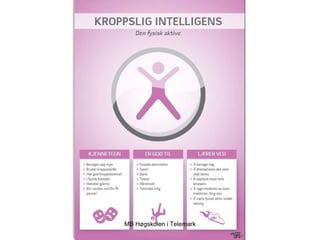 MB Høgskolen i Telemark
 