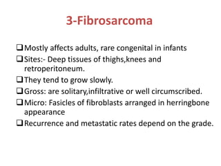 3-Fibrosarcoma
Mostly affects adults, rare congenital in infants
Sites:- Deep tissues of thighs,knees and
retroperitoneum.
They tend to grow slowly.
Gross: are solitary,infiltrative or well circumscribed.
Micro: Fasicles of fibroblasts arranged in herringbone
appearance
Recurrence and metastatic rates depend on the grade.
 