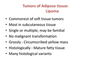 Tumors of Adipose tissue:
Lipoma
• Commonest of soft tissue tumors
• Most in subcutaneous tissue
• Single or multiple, may be familial
• No malignant transformation
• Grossly : Circumscribed yellow mass
• Histologically : Mature fatty tissue
• Many histological variants
 