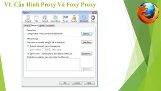 VI. Cấu Hình Proxy Và Foxy Proxy 
 