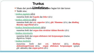 Trunkus Math K3, K4 Anatomi Pembuluh Darah manusia. pptx | PPTX