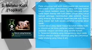 3. Melalui Kulit
(Topikal)
Pada umumnya kulit lebih impermeabel dan karenanya
merupakan barier (penghalang) yang baik bagi bahan
toksik masuk kedalam tubuh. Namun beberapa bahan
kimia dapat diserap oleh kulit dalam jumlah yang cukup
banyak sehingga menimbulkan efek sistemik. Racun
yang terserap ada kalanya dapat merusak kulit. Racun
yang masuk dari kulit secara perlahan terserap aliran
darah.
Contoh racun yang dapat masuk ke tubuh melalui kulit:
a. Umumnya zat kimia pertanian seperti insektisida,
pestisida maupun zat kimia yang bersifat korosif.
b. Tersentuh binatang yang mengandung racun pada
kulitnya ataupun bagian tubuhnya yang lain (umumnya
pada binatang yang hidup di air).
 