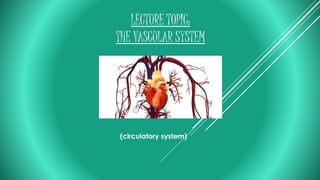 LECTURE TOPIC:
THE VASCULAR SYSTEM
(circulatory system)
 