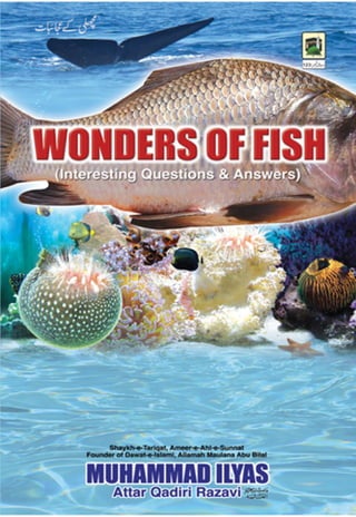 Wonders of fish interesting questions & answers
