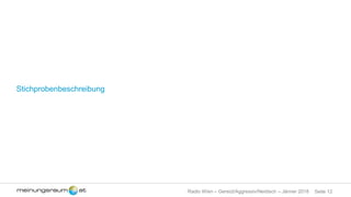 Seite 12Radio Wien – Gereizt/Aggressiv/Neidisch – Jänner 2018
Stichprobenbeschreibung
 