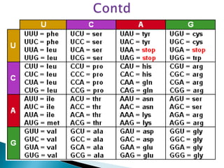 Terminology related to genetics | PPT