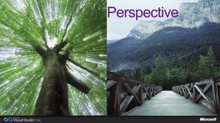 Perspective 
 