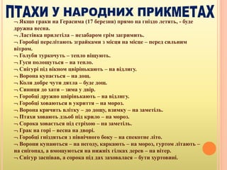  Якщо граки на Герасима (17 березня) прямо на гніздо летять, - буде
дружна весна.
 Ластівка прилетіла – незабаром грім загримить.
 Горобці перелітають зграйками з місця на місце – перед сильним
вітром.
 Голуби туркочуть – тепло віщують.
 Гуси полощуться – на тепло.
 Снігурі під вікном цвірінькають – на відлигу.
 Ворона купається – на дощ.
 Коли добре чути дятла – буде дощ.
 Синиця до хати – зима у двір.
 Горобці дружно цвірінькають – на відлигу.
 Горобці ховаються в укриття – на мороз.
 Ворона кричить влітку – до дощу, взимку – на заметіль.
 Птахи ховають дзьоб під крило – на мороз.
 Сорока ховається під стріхою – на заметіль.
 Грак на горі – весна на дворі.
 Горобці гніздяться з північного боку – на спекотне літо.
 Ворони купаються – на негоду, каркають – на мороз, гуртом літають –
на снігопад, а вмощуються на нижніх гілках дерев – на вітер.
 Снігур заспівав, а сорока під дах заховалася – бути хуртовині.
 