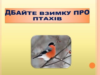 День зимуючих птахів