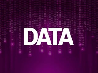 MonkeyData - elevator pitch