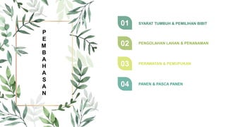 P
E
M
B
A
H
A
S
A
N
01 SYARAT TUMBUH & PEMILIHAN BIBIT
02 PENGOLAHAN LAHAN & PENANAMAN
03 PERAWATAN & PEMUPUKAN
04 PANEN & PASCA PANEN
 