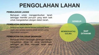 PENGOLAHAN LAHAN
MEMBERANTAS
GULMA
SIAP
DITANAMI
GEMBUR
Bertujuan untuk menggemburkan tanah
sehingga memiliki pori-pori yang lebih baik
untuk mengedarkan oksigen dalam tanah.
PEMBAJAKAN LAHAN
Bertujuan agar media tanam menjadi lebih
rapih dan tertata karena jarak tanam yang
digunakan seragam.
PEMBUATAN BEDENGAN
Bertujuan untuk mencegah genangan dengan
mengalirkan aliran air pada permukaan,
sehingga air tidak merusak tanah atau
tanaman.
PEMBUATAN SALURAN DRAINASE
 