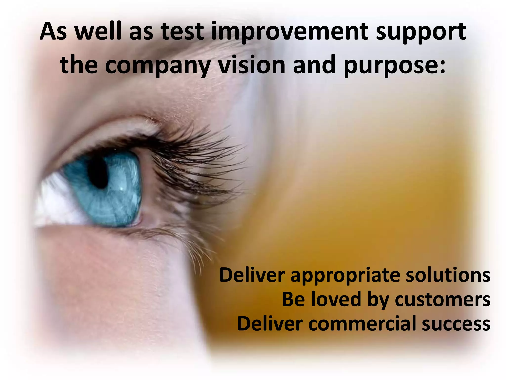 As well as test improvement support 
the company vision and purpose: 
Deliver appropriate solutions 
Be loved by customers 
Deliver commercial success 
 