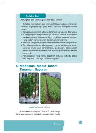 Prakarya
97
Renungkan dan tuliskan pada selembar kertas! 	
Setelah mempelajari dan mempraktikkan budidaya tanaman
sayuran, ungkapkan apa yang kamu rasakan, mengenai hal-hal
berikut.
1.	Keragaman produk budidaya tanaman sayuran di daerahmu.
2.	Kunjungan pada tempat budidaya tanaman sayuran atau melalui
sumber/referensi bacaan tentang budidaya tanaman sayuran
yang sudah kamu lakukan bersama kelompokmu.
3.	Kesulitan yang dihadapi saat mencari informasi dan pengamatan.
4.	Pengalaman dalam melaksanakan praktik budidaya tanaman
sayuran (mulai dari perencanaan, persiapan, pelaksanaan
teknis budidaya dari pembibitan sampai pascapanen) secara
kelompok.
5.	Pembelajaran yang kamu dapatkan sebagai individu sosial
dari kegiatan budidaya tanaman sayuran.
Refleksi Diri
	
  	
  
(Sumber: Dokumen Kemdikbud)
Gambar 3.19 Tanaman kangkung
D.	Modifikasi Media Tanam
Tanaman Sayuran
	Amati media tanam pada Gambar 3.19. Budidaya
tanaman kangkung tersebut menggunakan media
 