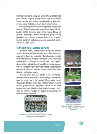 Prakarya
99
mempunyai daya serap air yang tinggi. Beberapa
jenis bahan organik yang dapat dijadikan media
tanam antara lain arang, cacahan pakis, kompos,
moss, sabut kelapa, sekam padi, dan humus.
Bahan anorganik berasal dari proses pelapukan
batuan. Bahan anorganik juga dapat berasal dari
bahan-bahan sintetis atau kimia yang dibuat di
pabrik. Beberapa media anorganik yang sering
dijadikan sebagai media tanam yaitu hidrogel, pasir,
kerikil, pecahan batu bata, spons, tanah liat, zeolit,
vermikulit, dan perlit.
1.	Modifikasi Media Tanam
	Setelah kamu mengetahui berbagai media
tanam, lihatlah di daerah sekitarmu! Media tanam
apa yang banyak tersedia. Keterbatasan media
tanam tanah tidak menjadi hambatan untuk mencoba
melakukan budidaya sayuran. Hal yang perlu
diperhatikan adalah teknik modifikasi media tanam.
Hal ini sangat berpengaruh terhadap keberhasilan
budidaya sayuran. Setiap tahap harus dilakukan
dengan baik dan tepat.
	Hidroponik adalah salah satu teknologi
budidaya tanaman tanpa tanah dengan pemberian
hara tanaman yang terkendali. Hidroponik dapat
dilakukan dengan dan atau media tanam. Media
tanam yang dapat digunakan untuk hidroponik
antara lain: sabut kelapa, ijuk, kerikil, arang, zeolit,
dan air. Teknik hidroponik dapat diaplikasikan di
daerah lahan terbatas.
(Sumber: Dokumen Kemdikbud)
Gambar 3.20.b Budidaya tanaman
sayuran dengan hidroponik secara
sederhana
(Sumber: Dokumen Kemdikbud)
Gambar 3.20.a Budidaya tanaman sayuran dengan
hidroponik secara sederhana
 