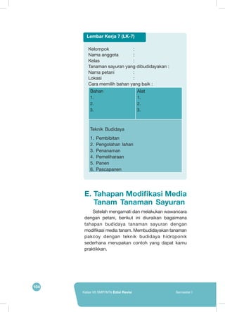 104
Kelas VII SMP/MTs Edisi Revisi Semester I
Kelompok		 :
Nama anggota	 :
Kelas			:
Tanaman sayuran yang dibudidayakan :
Nama petani		 : 	
Lokasi			: 	
Cara memilih bahan yang baik :
Bahan
1.	
2.	
3.	
Alat
1.	
2.	
3.	
Teknik Budidaya
1.	 Pembibitan
2.	 Pengolahan lahan
3.	 Penanaman
4.	 Pemeliharaan
5.	 Panen
6.	 Pascapanen
Lembar Kerja 7 (LK-7)
E.	Tahapan Modifikasi Media
Tanam Tanaman Sayuran
	 Setelah mengamati dan melakukan wawancara
dengan petani, berikut ini diuraikan bagaimana
tahapan budidaya tanaman sayuran dengan
modifikasi media tanam. Membudidayakan tanaman
pakcoy dengan teknik budidaya hidroponik
sederhana merupakan contoh yang dapat kamu
praktikkan.
 