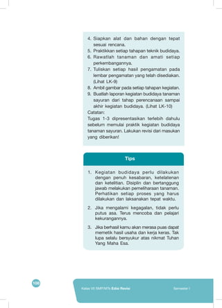 108
Kelas VII SMP/MTs Edisi Revisi Semester I
4.	 Siapkan alat dan bahan dengan tepat
sesuai rencana.
5.	 Praktikkan setiap tahapan teknik budidaya.
6.	 Rawatlah tanaman dan amati setiap
perkembangannya.
7.	 Tuliskan setiap hasil pengamatan pada
lembar pengamatan yang telah disediakan.
(Lihat LK-9)
8.	 Ambil gambar pada setiap tahapan kegiatan.
9.	 Buatlah laporan kegiatan budidaya tanaman
sayuran dari tahap perencanaan sampai
akhir kegiatan budidaya. (Lihat LK-10)
Catatan:
Tugas 1-3 dipresentasikan terlebih dahulu
sebelum memulai praktik kegiatan budidaya
tanaman sayuran. Lakukan revisi dari masukan
yang diberikan!
1.	 Kegiatan budidaya perlu dilakukan
dengan penuh kesabaran, ketelatenan
dan ketelitian. Disiplin dan bertanggung
jawab melakukan pemeliharaan tanaman.
Perhatikan setiap proses yang harus
dilakukan dan laksanakan tepat waktu.
2.	 Jika mengalami kegagalan, tidak perlu
putus asa. Terus mencoba dan pelajari
kekurangannya.
3.	 Jika berhasil kamu akan merasa puas dapat
memetik hasil usaha dan kerja keras. Tak
lupa selalu bersyukur atas nikmat Tuhan
Yang Maha Esa.
Tips
 